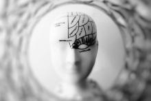 Brain