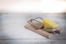 Mouse trap